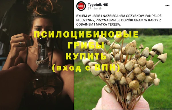 таблы Алзамай