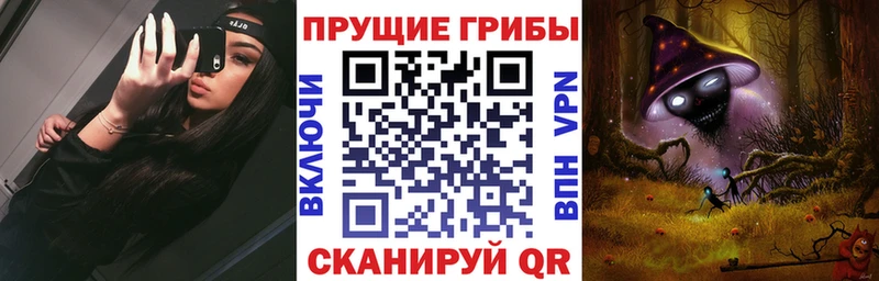 где найти mega зеркало Галлюциногенные грибы ЛСД Щёлково